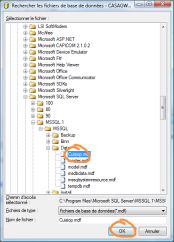 Image naviguer jusqu'au fichier (mdf) appuyer sur ok